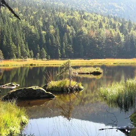 Stocker דירה Traitsching