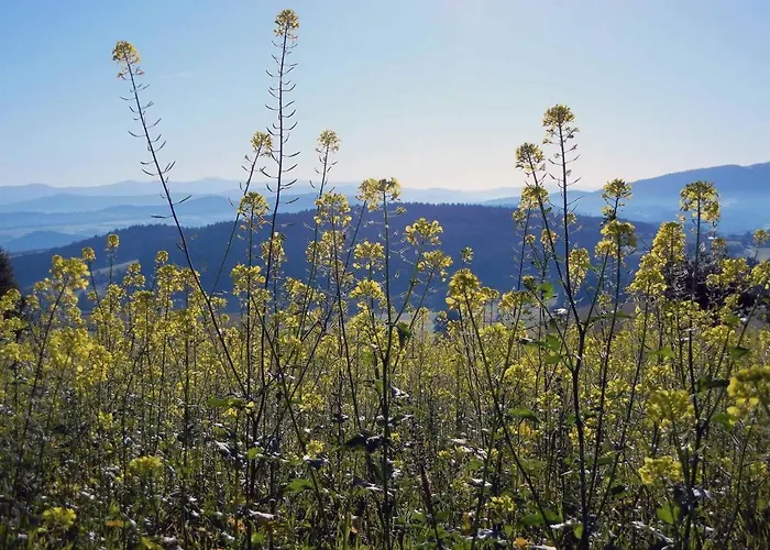 Appartement Stocker Traitsching