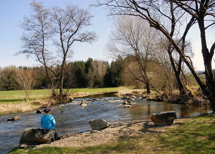 Stocker * Traitsching