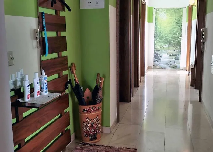 Stocker * Traitsching